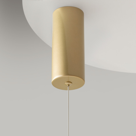 Подвесной светильник Maytoni MOD072PL-L36BSK