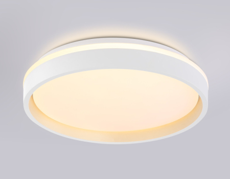 Накладной светильник Ambrella Light FZ601