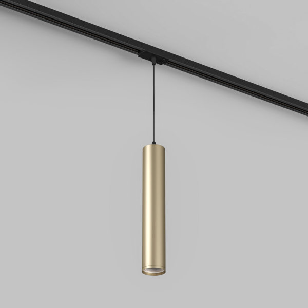 Светильник на шине Denkirs DK6210-BG