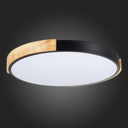 Накладной светильник Evoluce SLE201342-01