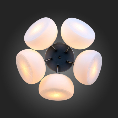 Накладная люстра ST-Luce SL482.502.05
