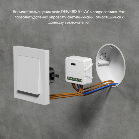 Wi-Fi реле Denkirs RL1001-SM