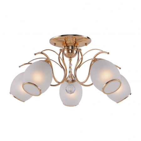 Накладная люстра F-Promo 2445-5U