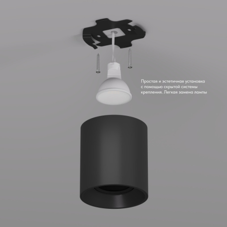 Накладной светильник Denkirs DK3040-BK