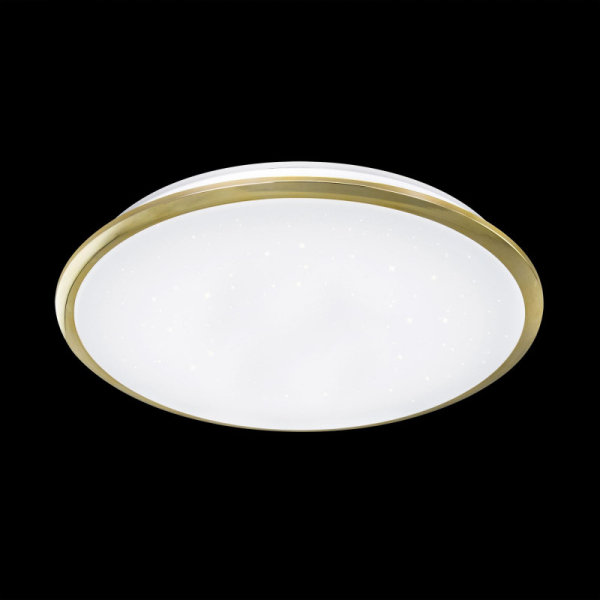 Накладной светильник Citilux CL70362