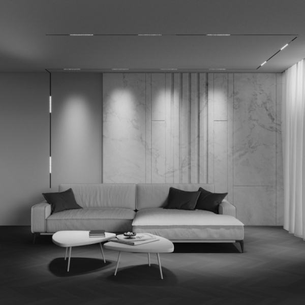 Светильник на шине Maytoni Technical TR241-4-12WTW-DSZ-B