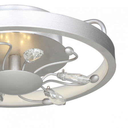 Накладной светильник Favourite 2523-2C