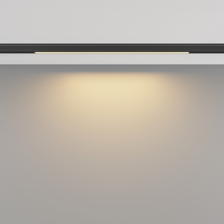 Светильник на шине Maytoni Technical TR190-1-5W2.7K-B