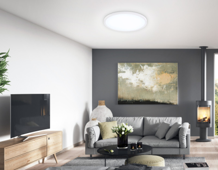 Накладной светильник Ambrella Light FZ1955