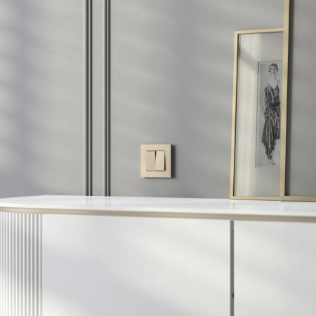 Рамка Werkel W0012911 шампань софт