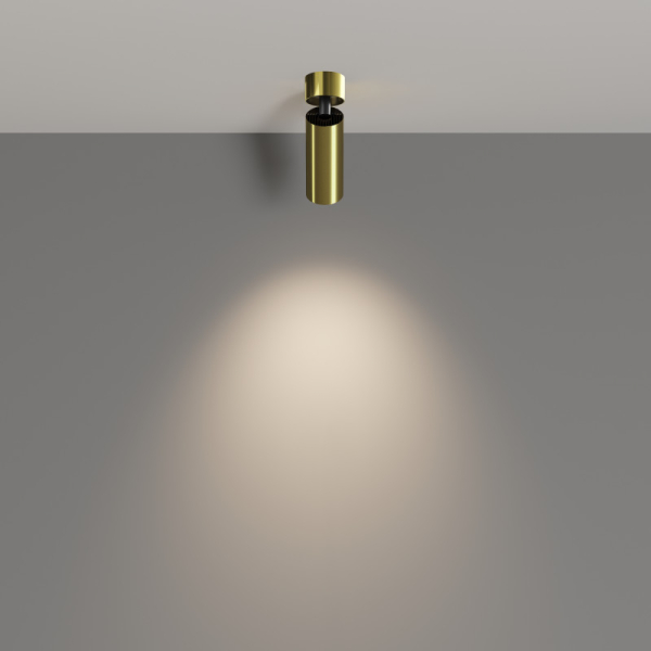 Спот Maytoni Technical C055CL-L12W4K-W-BS