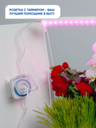 Розетка Feron 23204