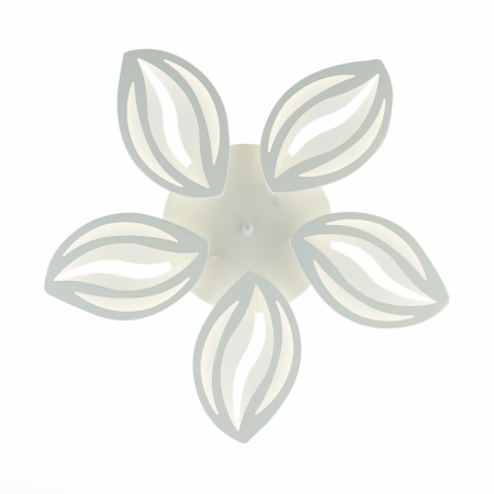 Накладная люстра EVOLED SLE501352-05