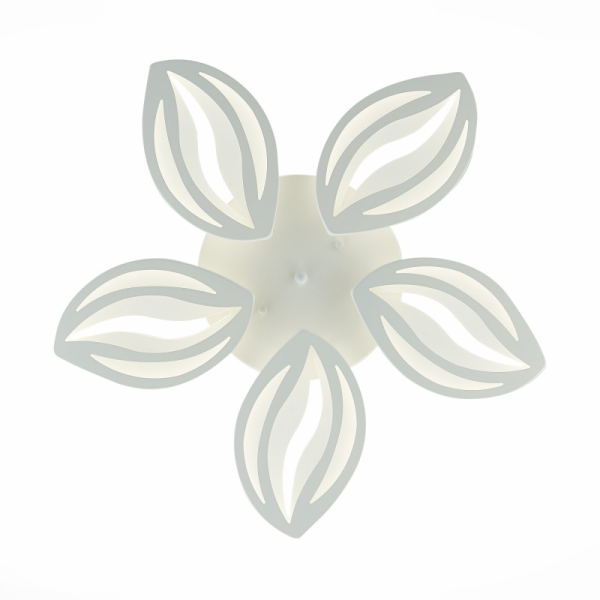 Накладная люстра EVOLED SLE501352-05