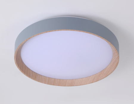 Накладной светильник Ambrella Light FZ1320