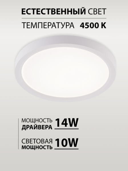 Накладной светильник Natali Kovaltseva LED LAMPS 81113/1C