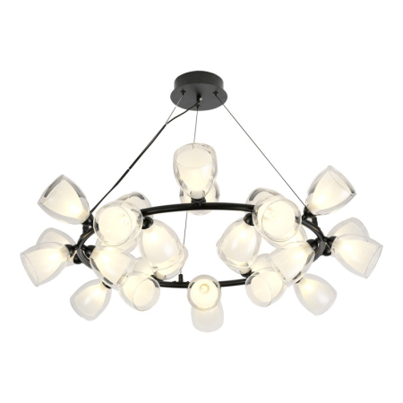 Подвесная люстра Lussole LSP-6065