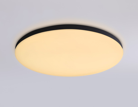 Накладной светильник Ambrella Light FZ2004