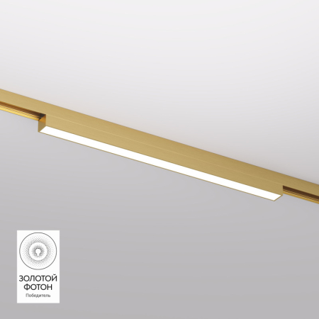 Светильник на шине Denkirs DK5751-SB