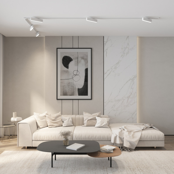 Светильник на шине Denkirs DK6440-WH