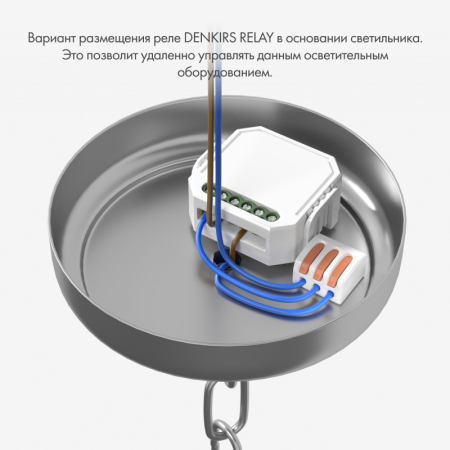 Wi-Fi реле Denkirs RL1001-SM