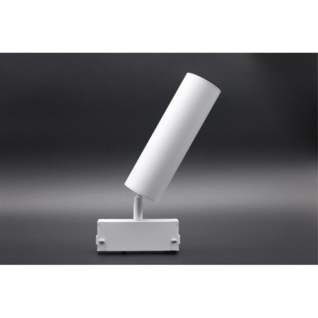 Светильник на шине APLOYT APL.0210.11.01