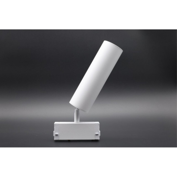 Светильник на шине APLOYT APL.0210.11.01