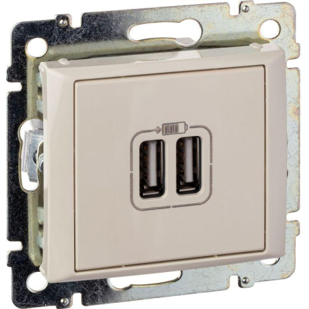 Розетка USB 2-м СП Valena сл. кость IEK 774170