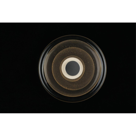 Бра APLOYT APL.350.01.03