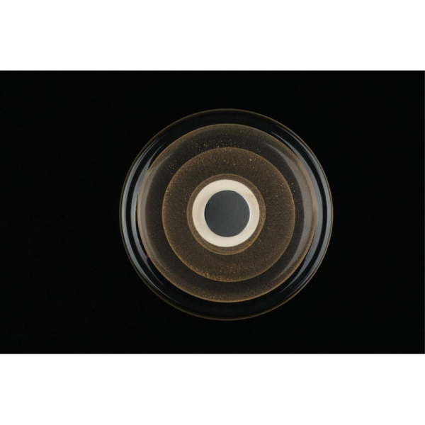 Бра APLOYT APL.350.01.03