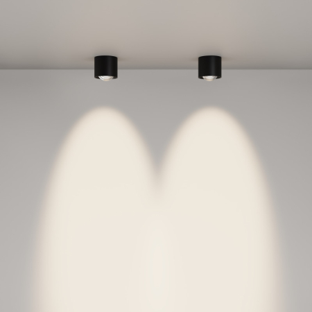 Влагозащищенный светильник Maytoni Technical C217CL-15W4K-B