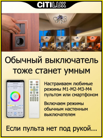 Накладная люстра Citilux CL229A155E