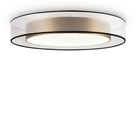 Накладной светильник Freya FR6005CL-L48G