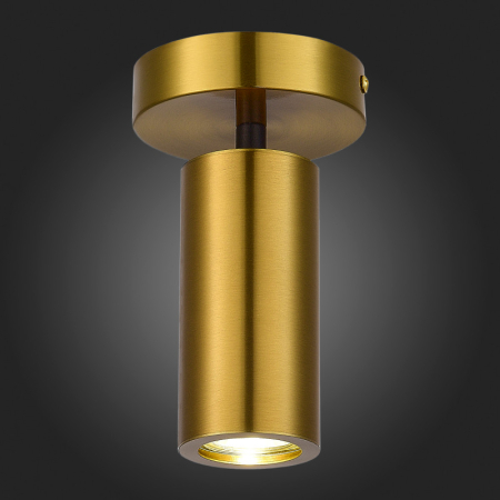 Накладной светильник ST-Luce SL1215.402.01