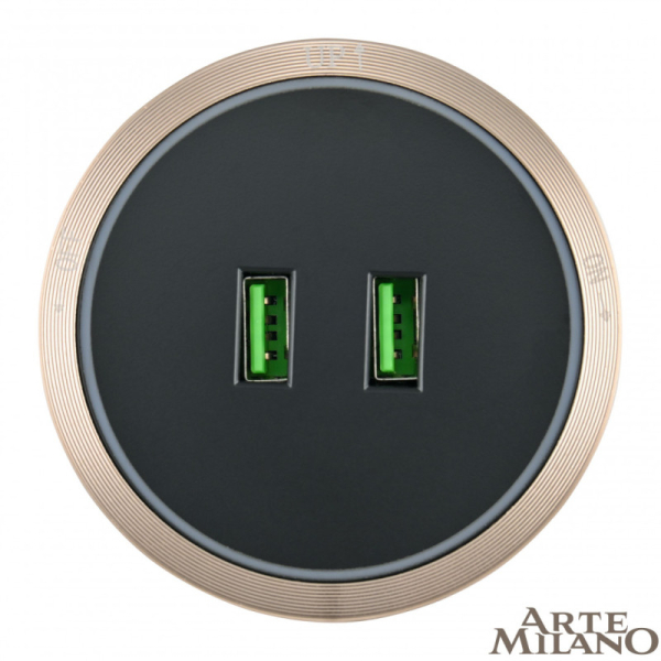 Трековая система розеток Arte Milano 380066TS LED/USBx2 Gold