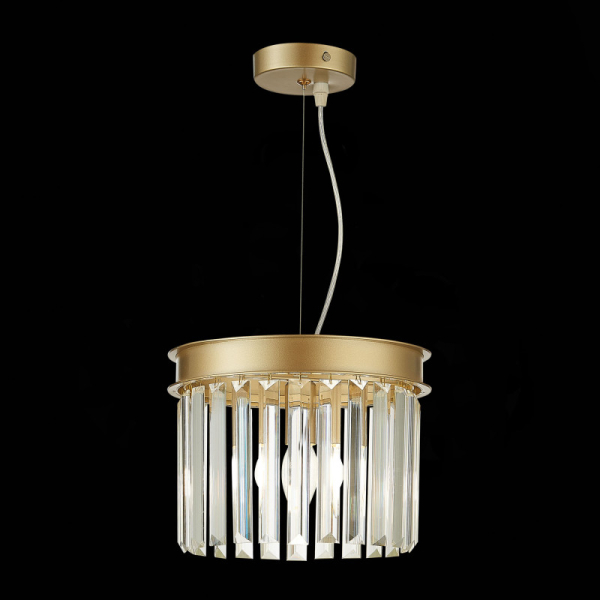 Подвесная люстра ST-Luce SL1624.203.01