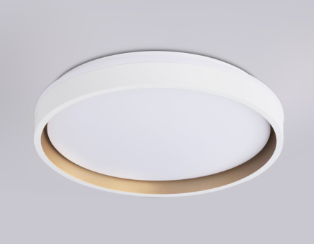 Накладной светильник Ambrella Light FZ601