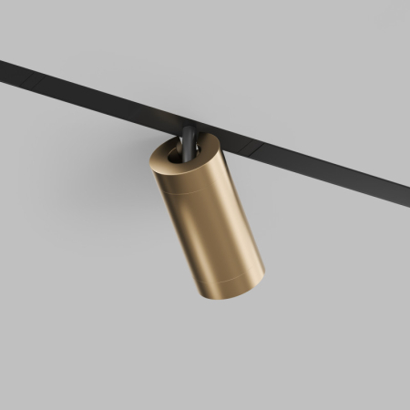 Светильник на шине Denkirs DK8020-BG