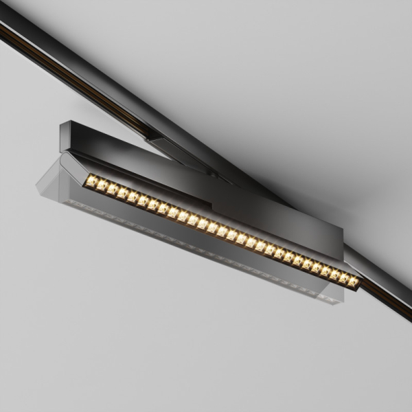 Светильник на шине Maytoni Technical TR242-2-12W3K-B