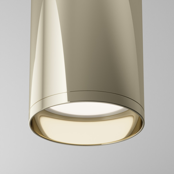 Накладной светильник Maytoni Technical C010CL-01G