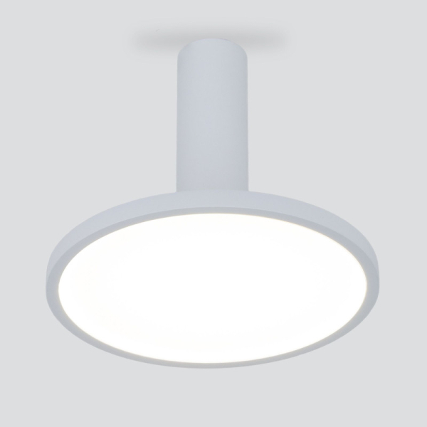 Накладной светильник Elektrostandard DLS029 12W 4200K белый матовый