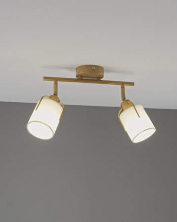 Спот Moderli V11854-2C