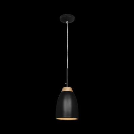 Подвесной светильник LOFT IT LOFT4402A-BL