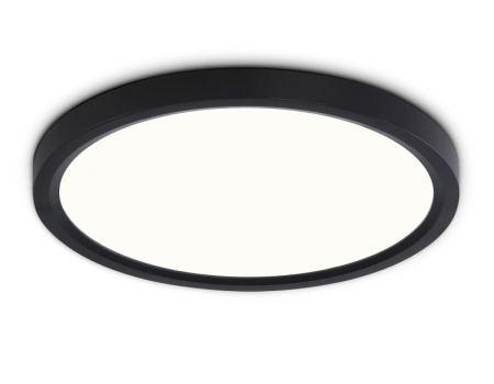 Накладной светильник Ambrella Light FZ1904