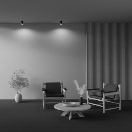 Накладной светильник Maytoni Technical C008CW-01B