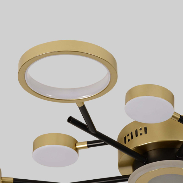 Накладная люстра F-Promo 4686-13C