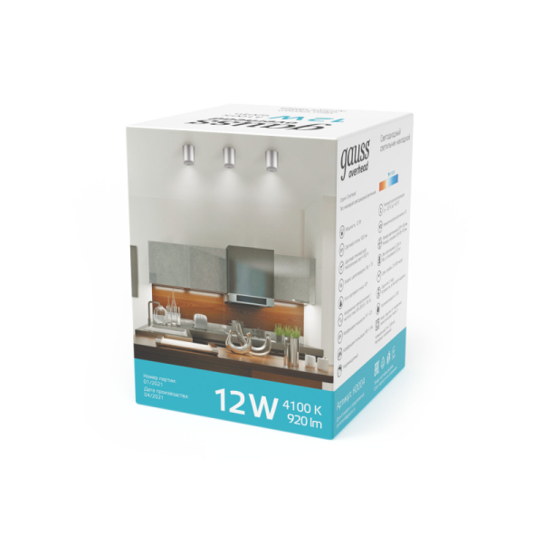 Накладной светильник Gauss HD004