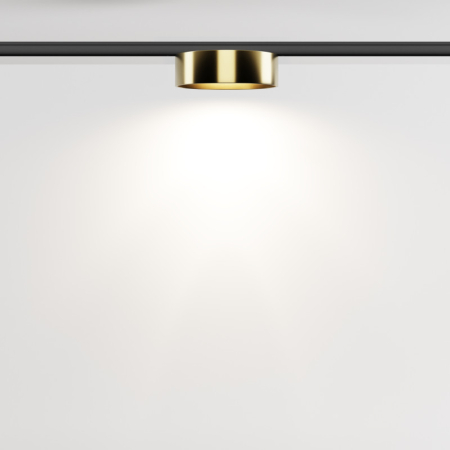 Светильник на шине Maytoni Technical TR189-1-12W4K-BBS