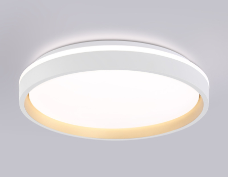 Накладной светильник Ambrella Light FZ607