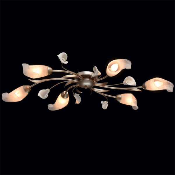 Накладная люстра MW-Light 242016306